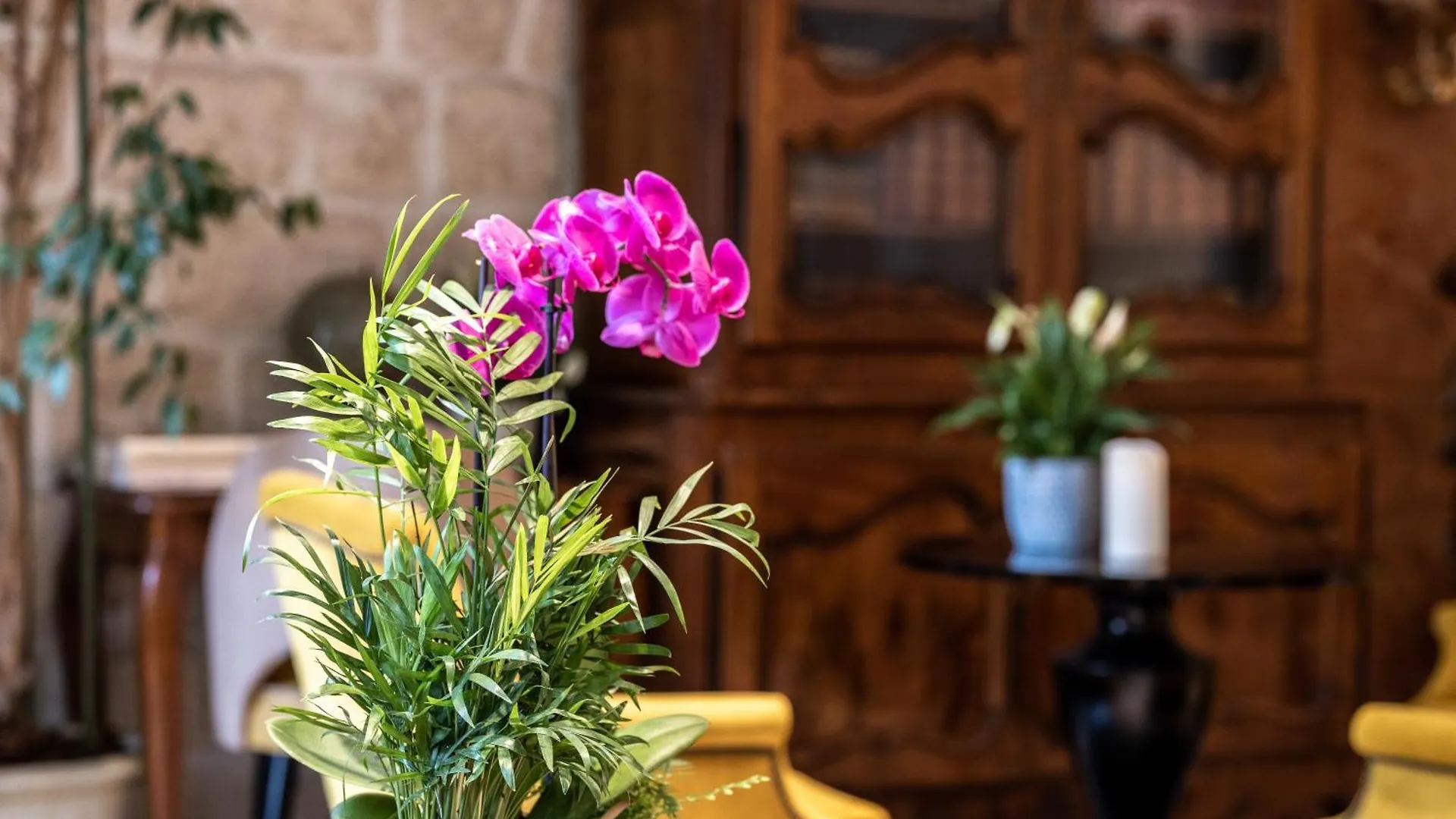 Hotel Minerve Paris 3*,